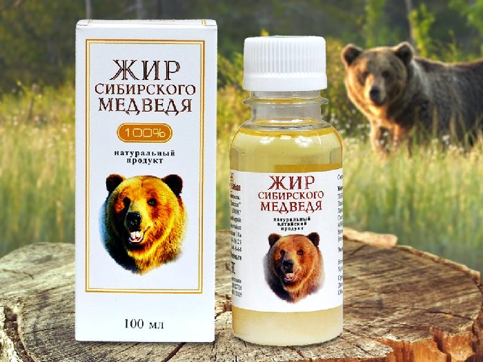 Сибирский-медведь-Описание-и-образ-жизни-сибирского-медведя-17